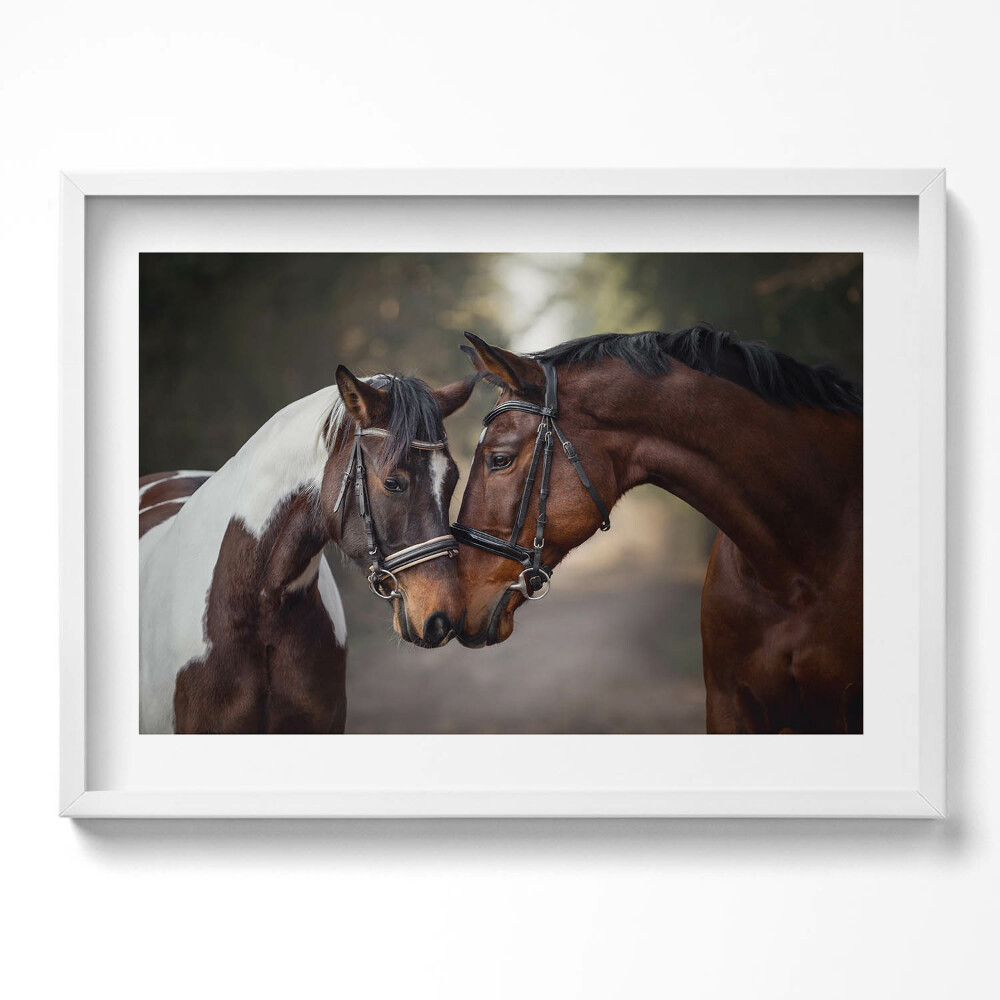 Tablou rama excepţional Portret de cai în pădure
