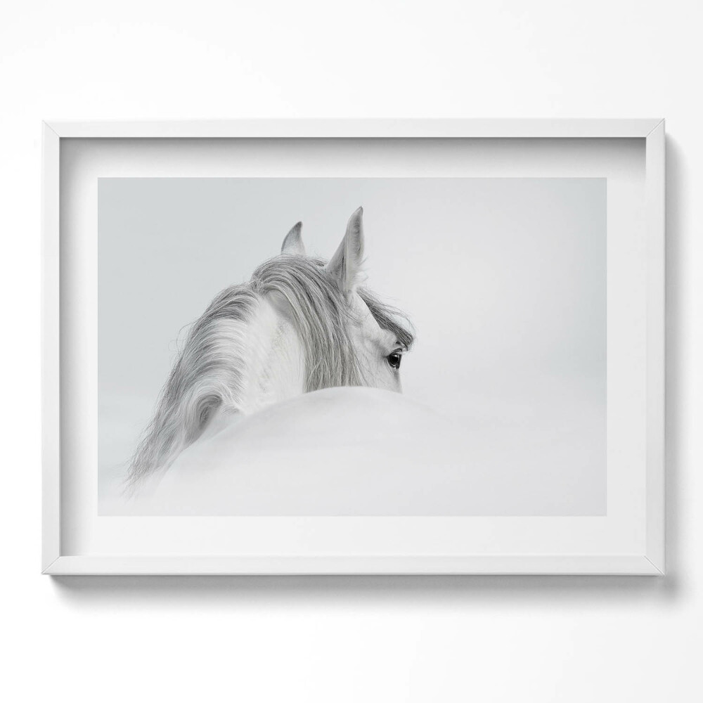 Tablou living cu rama excepţional Cal andaluz în ceață