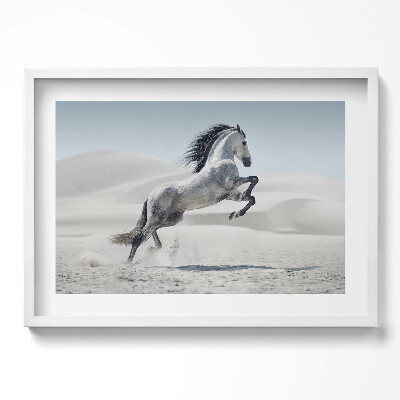 Tablou rama excepţional Cal alb galopant