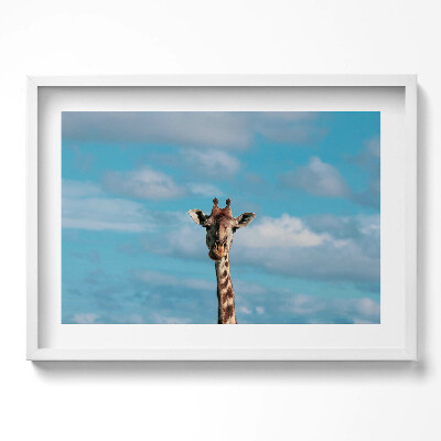 Tablou rama excepţional Cap de girafă pe cer