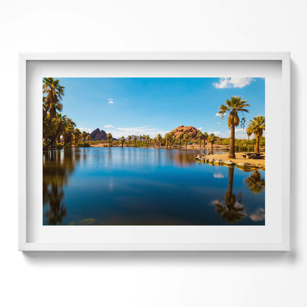 Tablou rama excepţional Peisajul parcului Papago