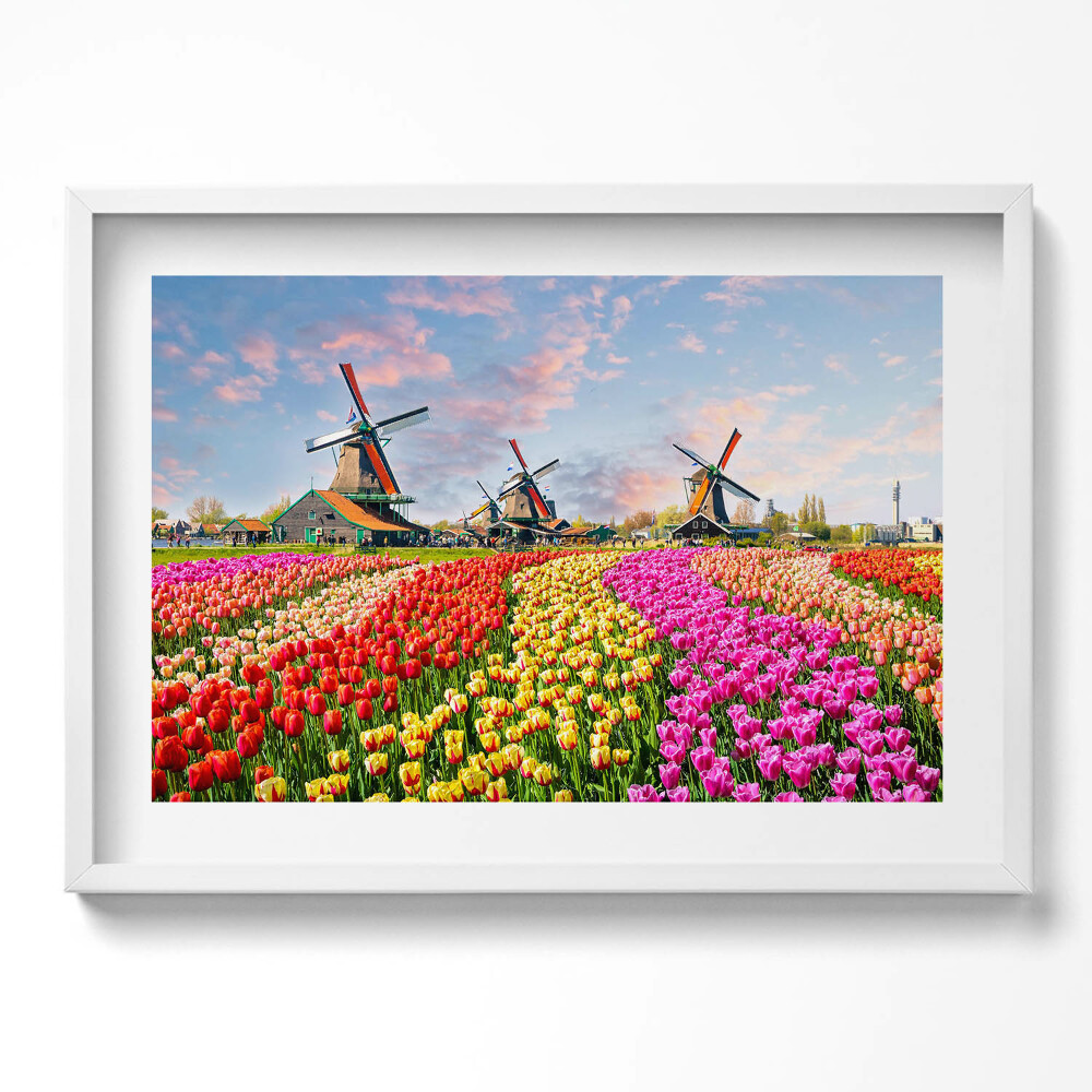 Tablou living cu rama excepţional Peisaj cu lalele Olanda