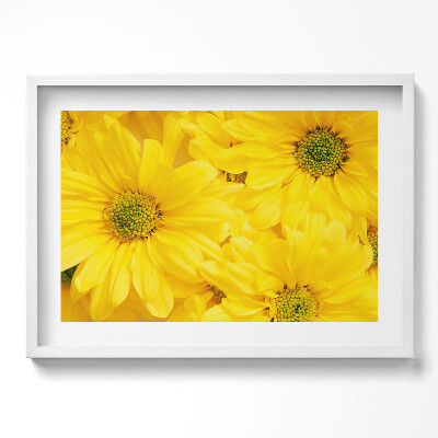 Tablou rama excepţional Petale de flori