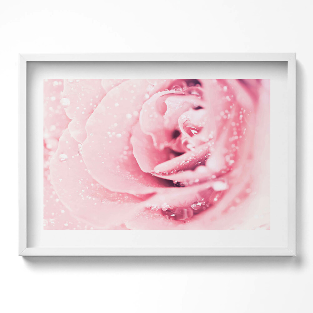 Tablou living cu rama excepţional Picături de rouă și flori de trandafir