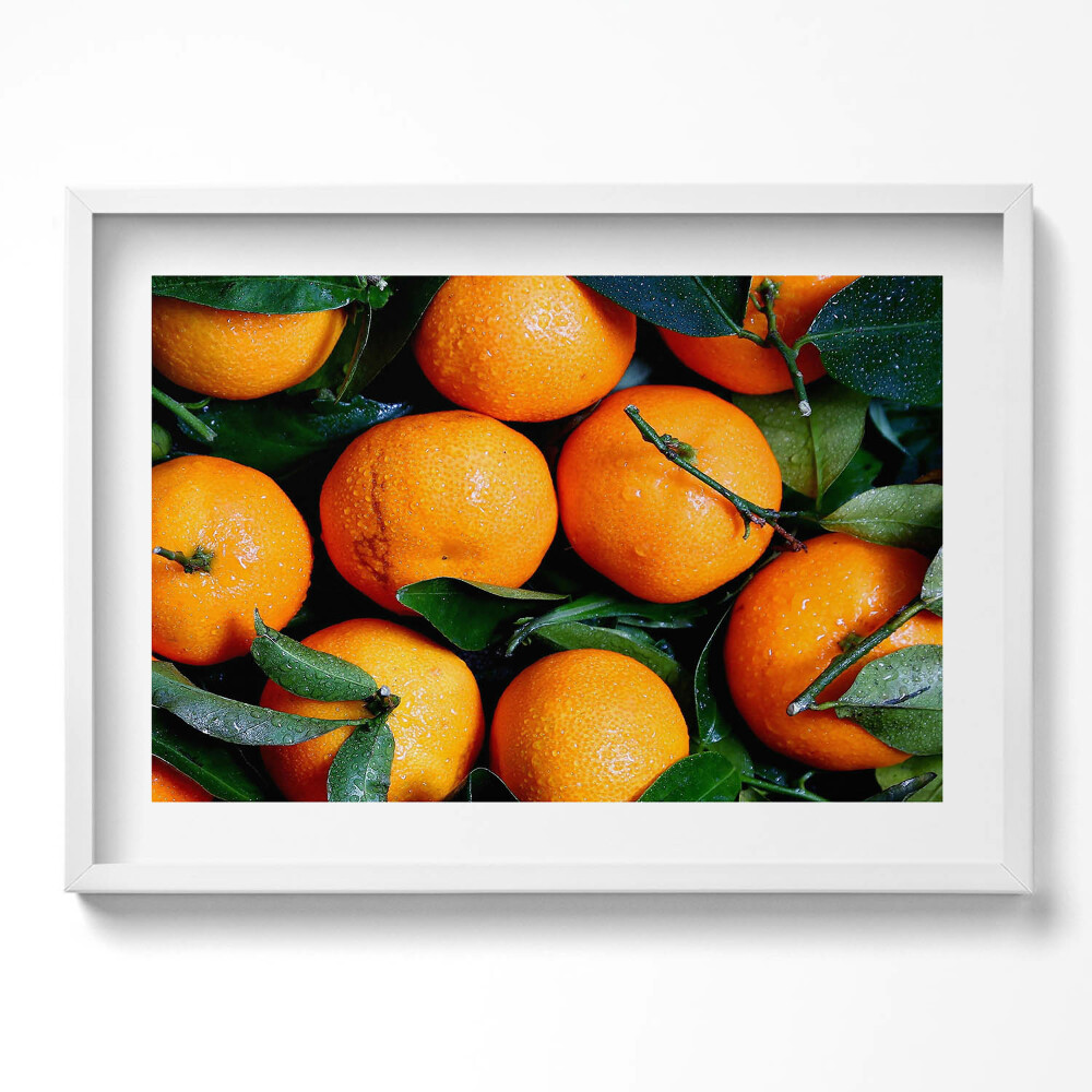 Tablou rama excepţional Fructe portocale