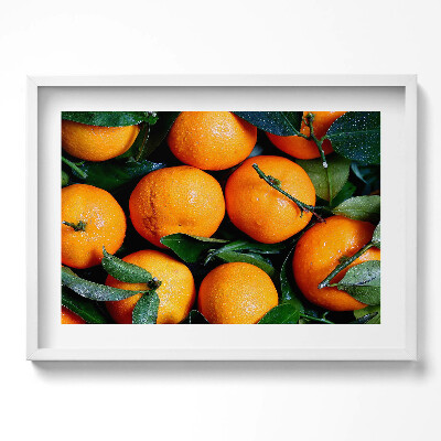 Tablou rama excepţional Fructe portocale