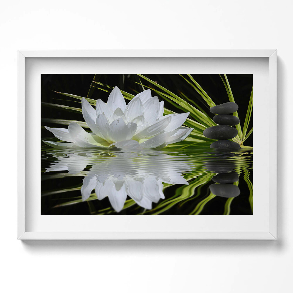 Tablou living cu rama excepţional Nufăr și frunze