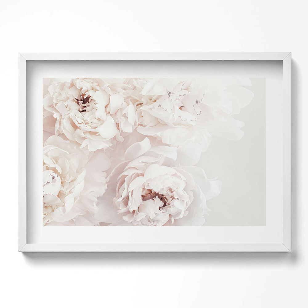 Tablou living cu rama excepţional Bujori pastelați