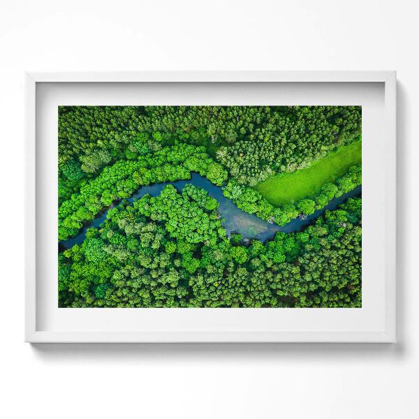 Tablou rama excepţional Pădurea și râul din vedere