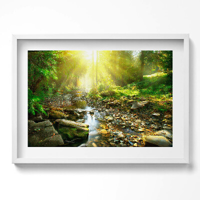 Tablou rama excepţional Pârâu de pădure în razele soarelui