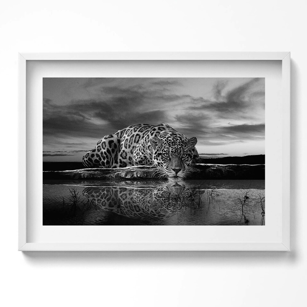 Tablou rama excepţional Leopard alb-negru animal sălbatic