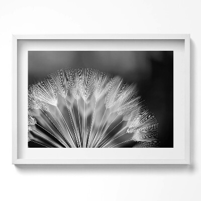 Tablou living cu rama excepţional Prim-plan alb-negru al unei păpădii