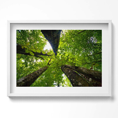 Tablou living cu rama excepţional Copaci cu frunze verzi