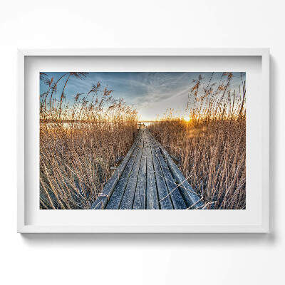 Tablou living cu rama excepţional Un drum de lemn printre copaci