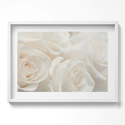 Tablou rama excepţional Alb delicat diverse