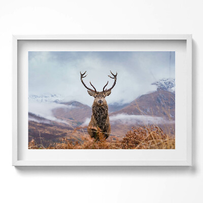 Tablou rama excepţional Un cerb într-o poiană de munte