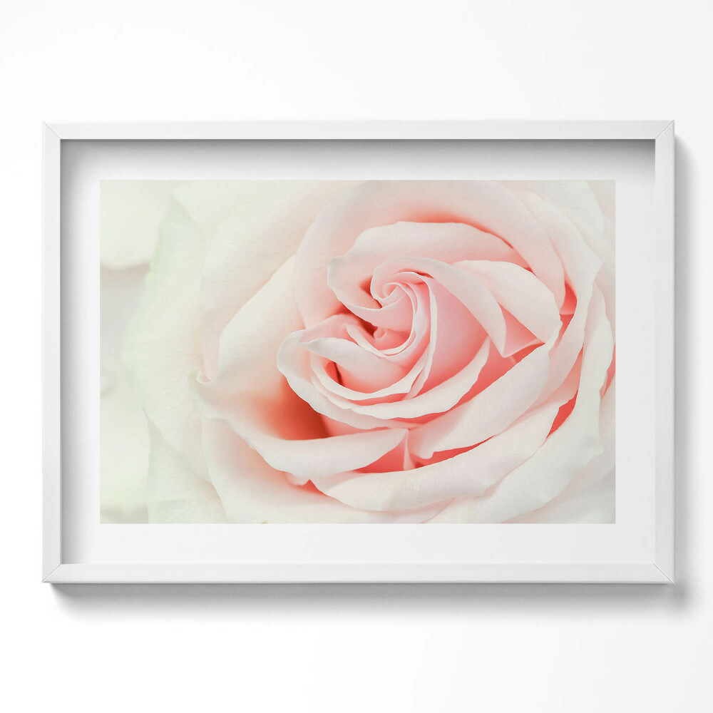 Tablou rama excepţional Prim-plan al petalelor de trandafir