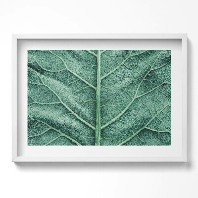 Tablou rama excepţional Prim-plan al nervurilor frunzelor