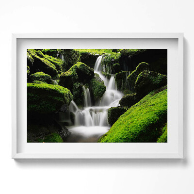 Tablou living cu rama excepţional Cascadă sălbatică în junglă