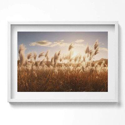 Tablou rama excepţional Apus de soare romantic peste iarbă