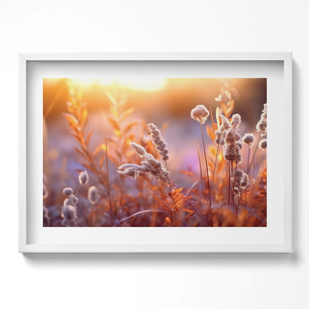 Tablou living cu rama excepţional Iarbă boho la răsărit