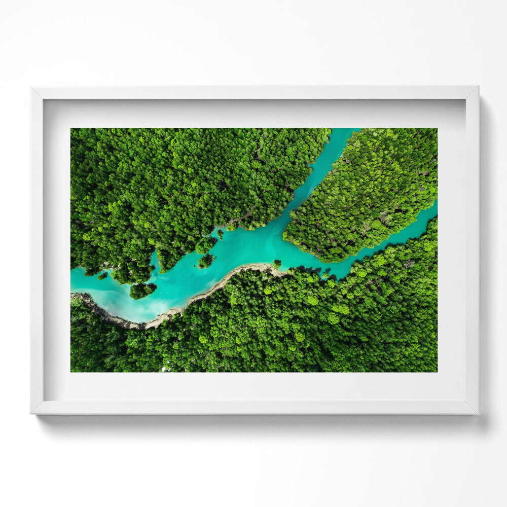 Tablou rama excepţional Vedere aeriană a unui râu în pădurile tropicale