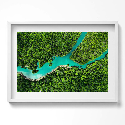 Tablou rama excepţional Vedere aeriană a unui râu în pădurile tropicale