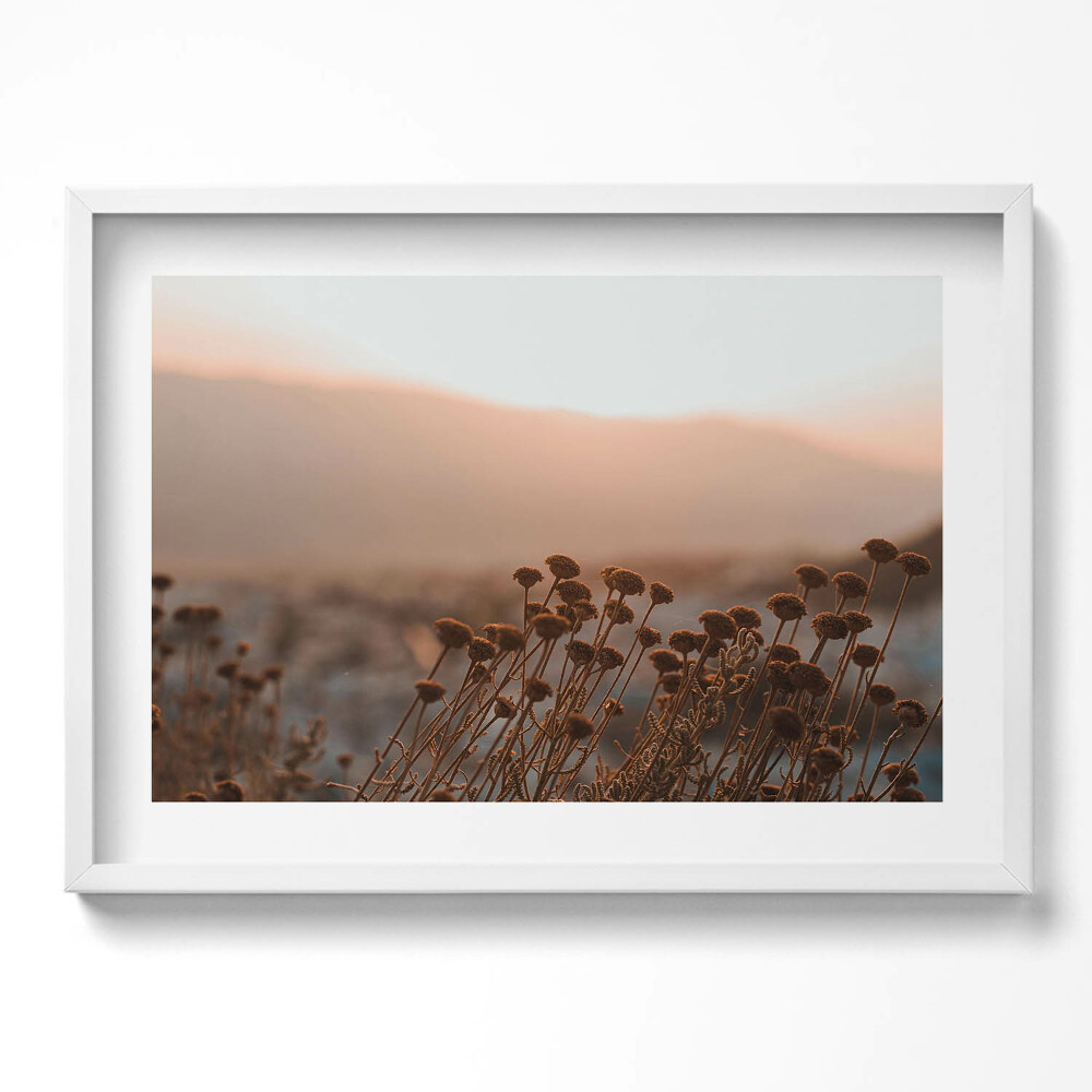 Tablou living cu rama excepţional Peisaj romantic cu iarbă boho