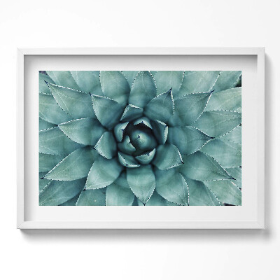 Tablou rama excepţional Plantă suculentă verde