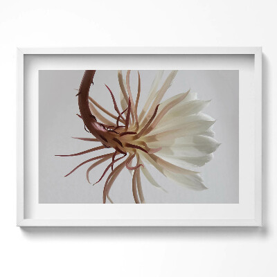 Tablou rama excepţional Plantă boho delicată