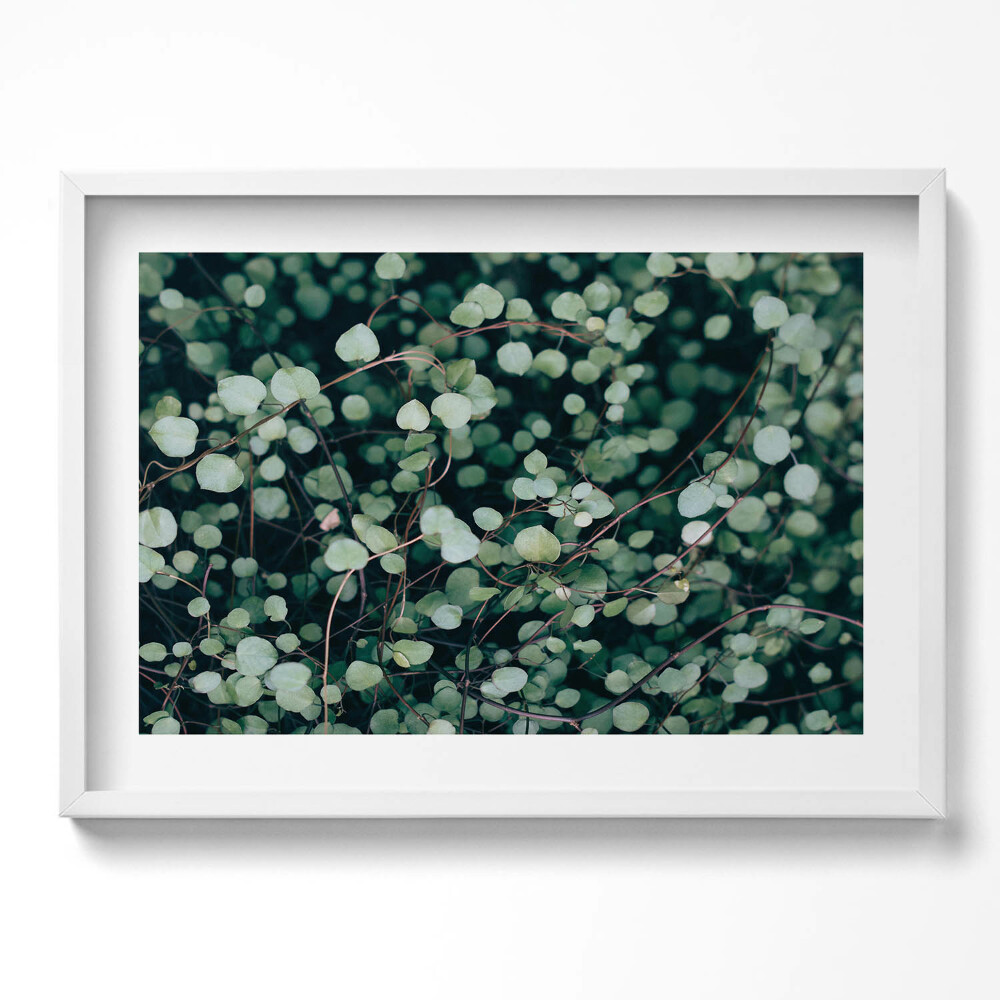 Tablou rama excepţional Frunzele mici ale plantei