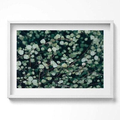 Tablou rama excepţional Frunzele mici ale plantei