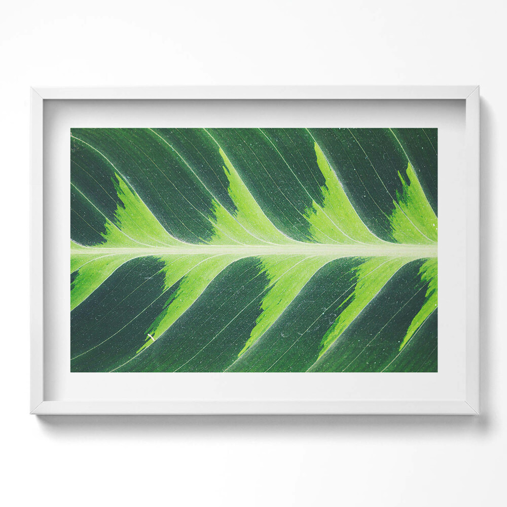 Tablou living cu rama excepţional Textura și nervurile frunzelor