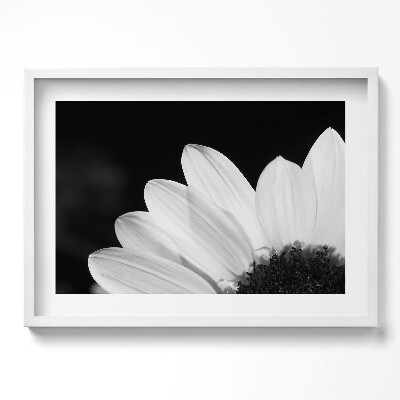 Tablou rama excepţional Petale de margarete în alb și negru