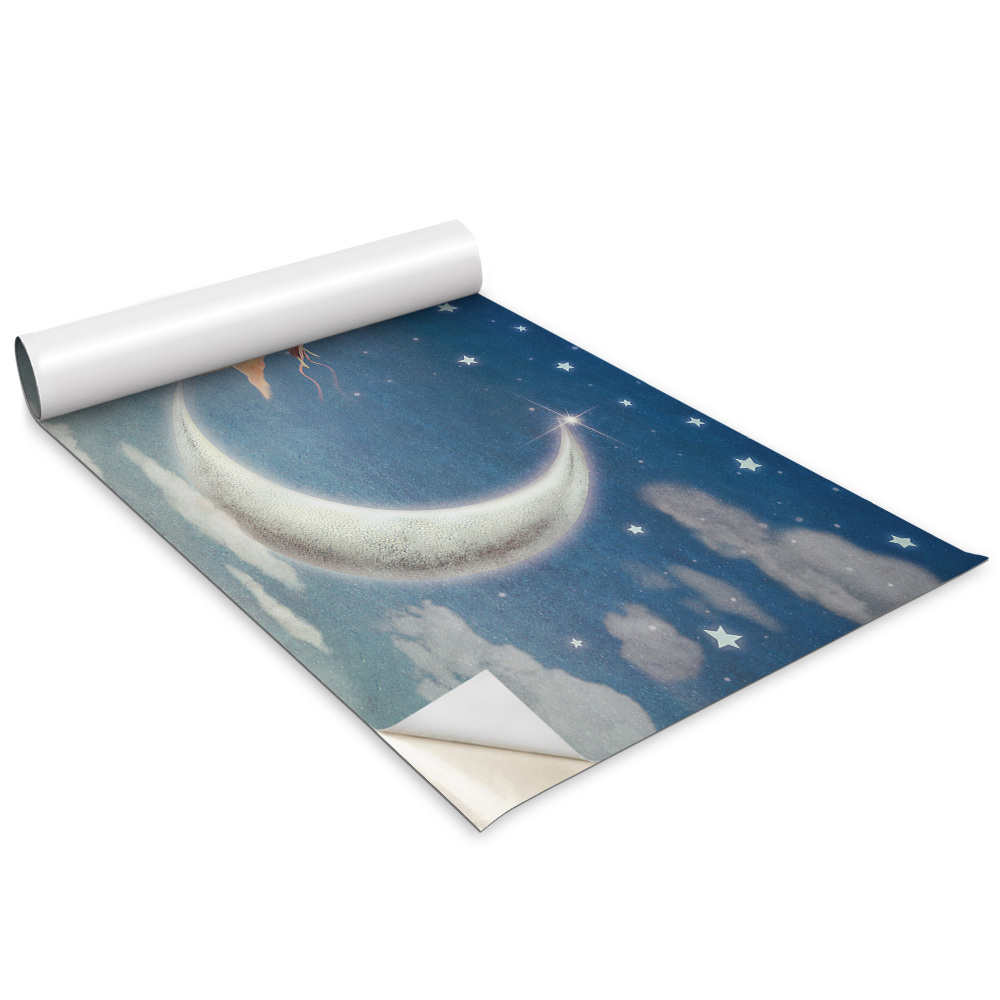 Autocolante mobila Femeia pe Lună