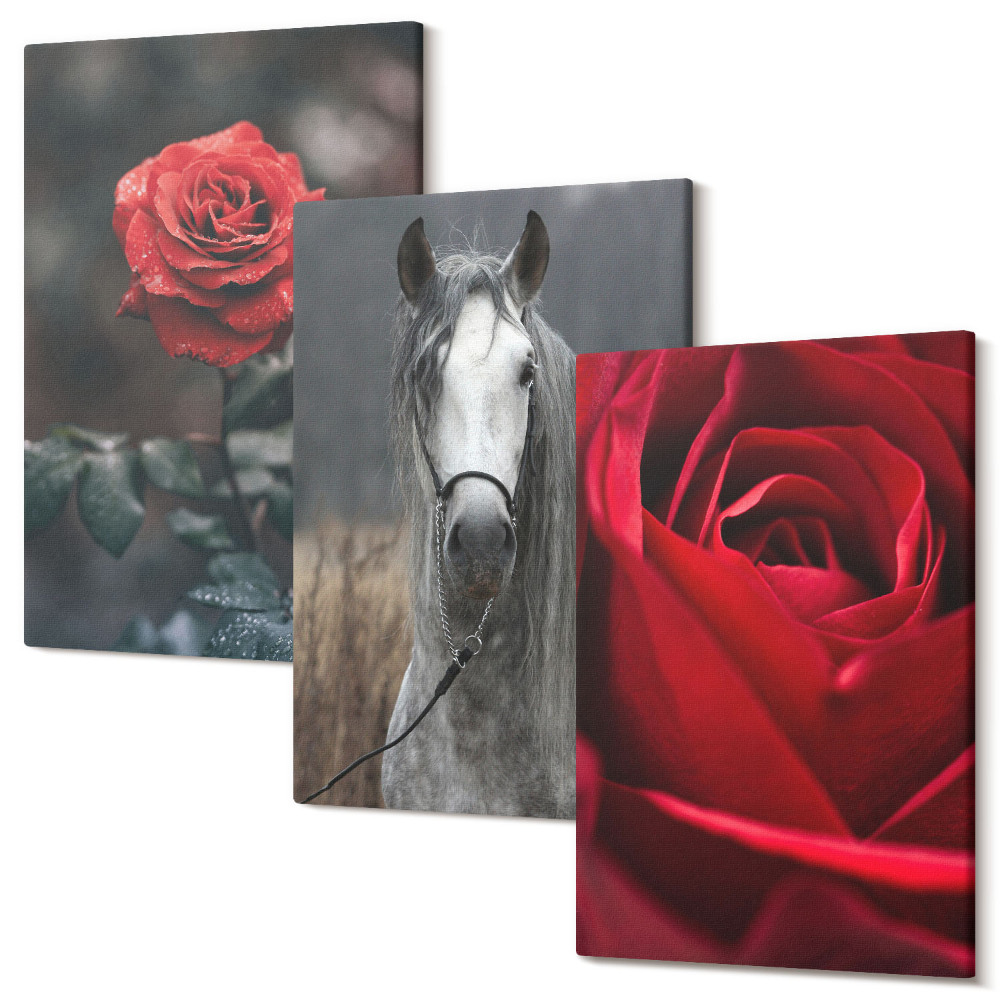 Set tablouri canvas triptic Trandafiri roșii și un cal într-un decor gri