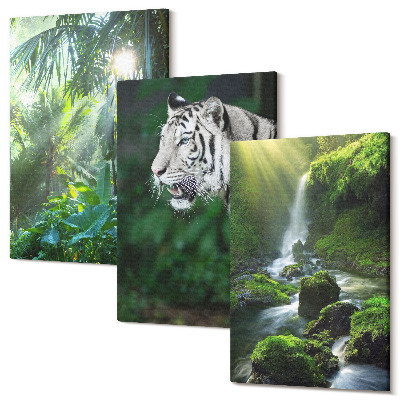 Set tablouri canvas triptic Junglă cu un tigru alb și o cascadă sălbatică