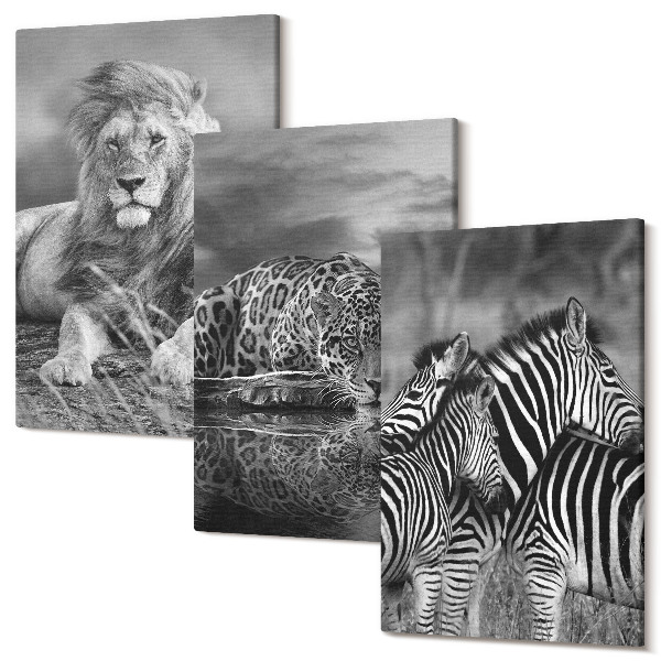 Set tablouri canvas triptic Animale sălbatice din savană: leu, jaguar și zebră