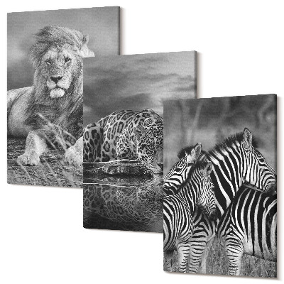 Set tablouri canvas triptic Animale sălbatice din savană: leu, jaguar și zebră