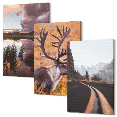 Set tablouri canvas triptic Peisaje montane cu reni si un drum in natura