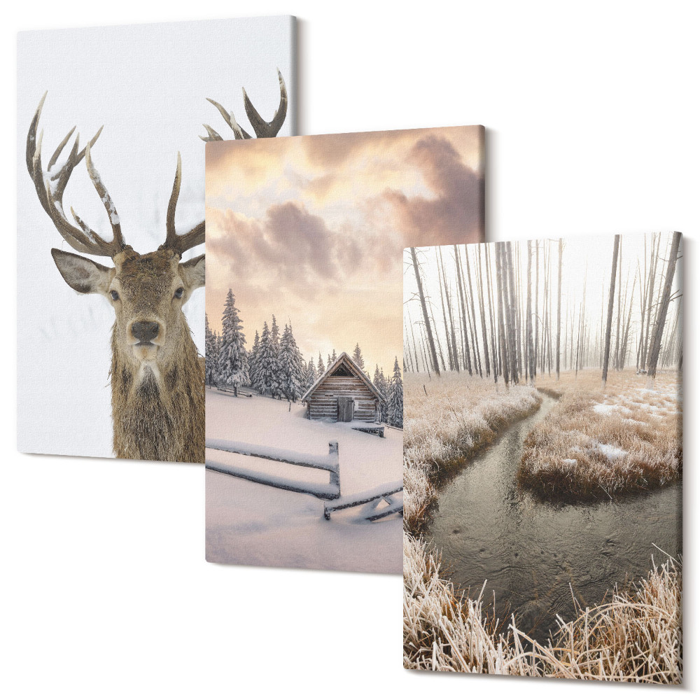 Tablou canvas set triptic Peisaj de iarnă cu o colibă ​​de căprioare și un pârâu