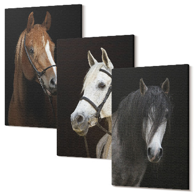 Tablou 3 piese Portrete de cai în diferite nuanțe de blană