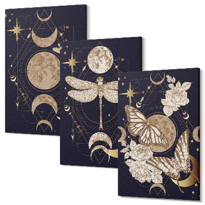 Tablou 3 piese Motive ale naturii cu luna, spațiul și florile