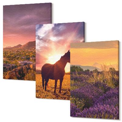 Tablou 3 piese Peisaje montane cu cai și câmpuri de lavandă