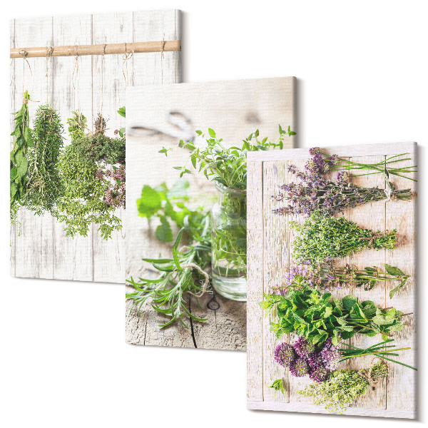 Tablou canvas set triptic Uscarea ierburilor și a plantelor pentru bucătărie