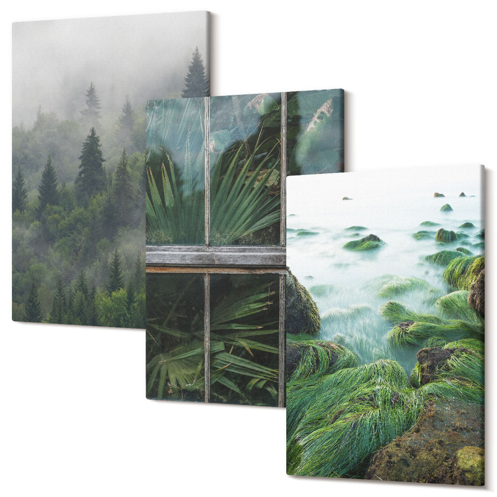 Tablou 3 piese O pădure în ceață, un mal de râu și o seră cu plante