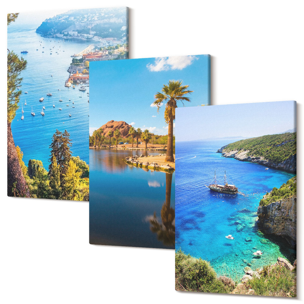 Tablou 3 piese Vedere la mare cu palmieri și apă albastră