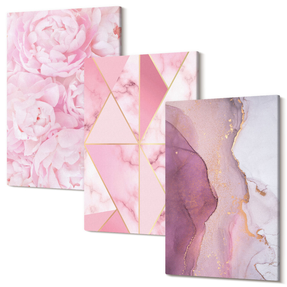 Tablou 3 piese Flori roz bujori modele geometrice