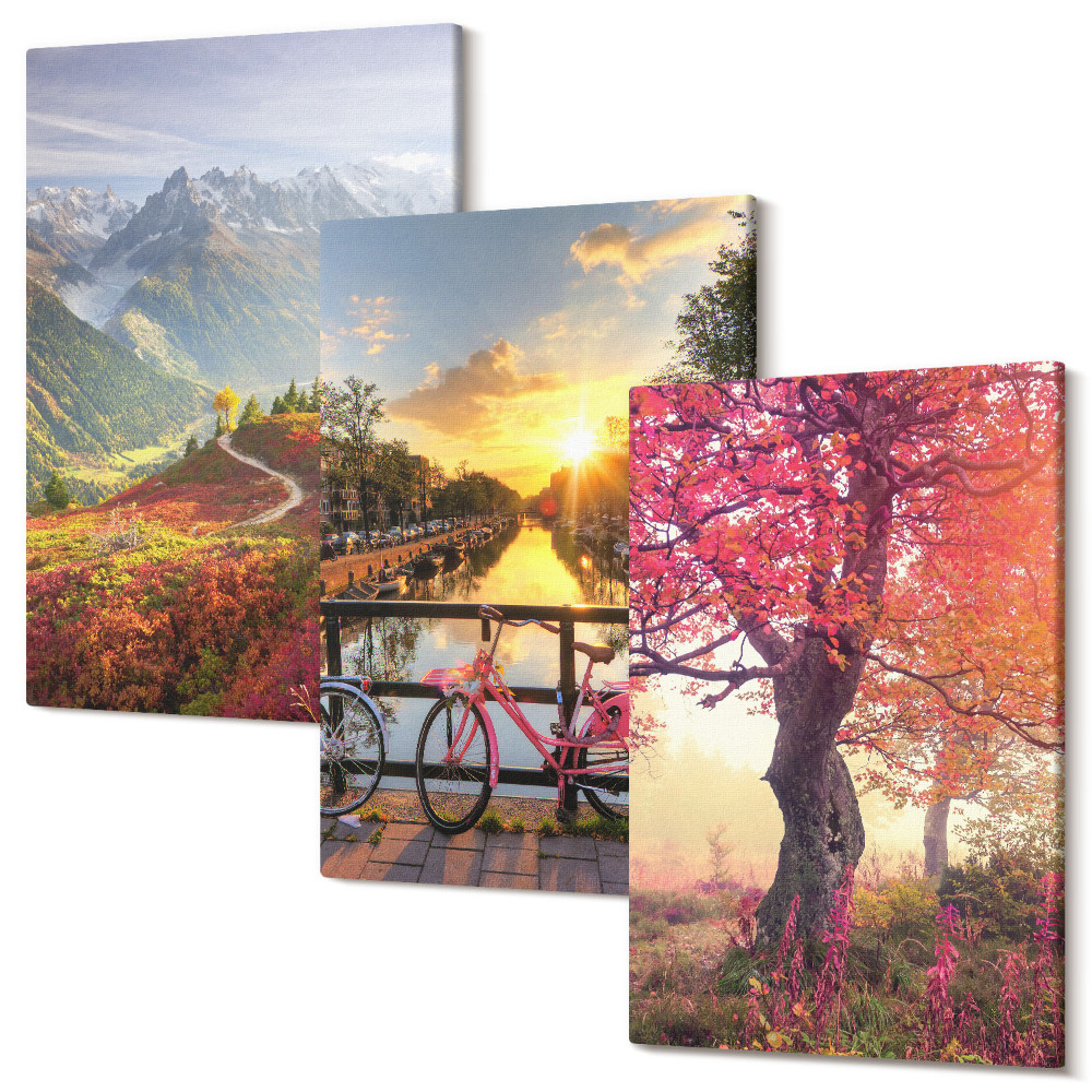 Tablou canvas set triptic Peisaje montane cu o bicicletă și un copac de toamnă