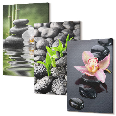 Tablou canvas set triptic O compoziție zen pașnică de pietre și flori pe apă
